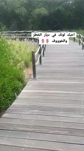 #الامارات_العربية_المتحده🇦🇪 #لايك_متابعه_اكسبلور #مجرد_ذووقツ🖤🎼 