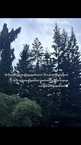 ကိုကိုဘေးနားမှာရှိနေပေးဖို့ အဆင်သင့်ပါ🤍