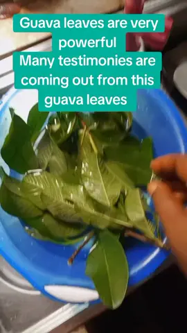 for those looking for the fruit of the womb . listen to this . Do this remedy and you will thank God for many testimonies are coming out of this leaves 