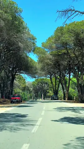 #maroco🇲🇦algeria🇩🇿tunisia🇹🇳 #maroc #tanger #الشعب_الصيني_ماله_حل😂😂 