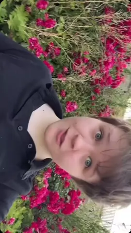 Trailerpark Comeback ist glaub ich die Lösung aller meiner Probleme @Trailerpark @SDP #trailerpark #crackstreetboys #timihendrix #sudden #battleboybastie #alligahtoah #sdp 