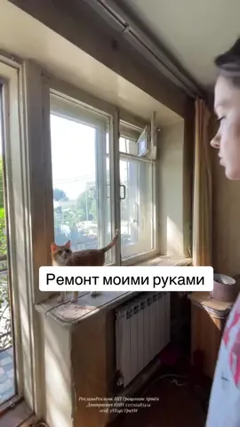 Я не знала, что вымыть окна можно всего лишь один раз протерев этой корейской салфеткой, не нужно два раза их тереть, вытирать насухо и избавляться от разводов. Всего одна салфетка и окна чистые за 5 минут Любая зеркальная поверхность, стекло, кухонный гарнитур, душевые кабины, стекло в автомобиле идеально чистые одним движением! Все окна у меня без разводов, я не шучу! Артикул на ВБ #219172854 Очень выгодная цена на набор, одна салфетка в стирке, другая всегда под рукой! Остерегайтесь подделок, не все справляются с разводами! #ремонт #красивыйремонт #идеиремонта #ремонтсвоимируками 