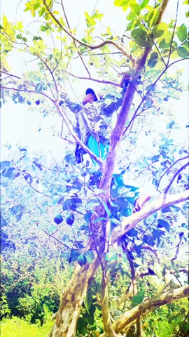 ဟီးဟီး 😂#မင်းတို့idolဖစ်ချင်လို့🤭💖 #fyp 