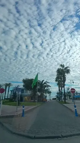 #المغرب🇲🇦تونس🇹🇳الجزائر🇩🇿  #المضيق😘💚تطوان 