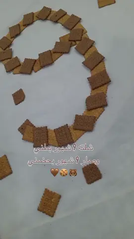 اكمل صغيري شهره التاسع 🐻🍪🤎 بالأمس مضى تسع شهور في حملك والأن مضى تسع شهور من عمرك  حفضك الله لي ياقطعه من قلبي 💋🤎✨2025/6/23✨#صعدو_الفيديو #لايك__explore___ #اكسبلورexplore #مالي_خلق_احط_هاشتاقات🧢 #الشعب_الصيني_ماله_حل😂😂 #ابني_حبيبي🤍 #جلسه_تصوير 