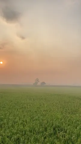 Tetepo ning kene, ojo lungo, kancanono aku yo 🥹