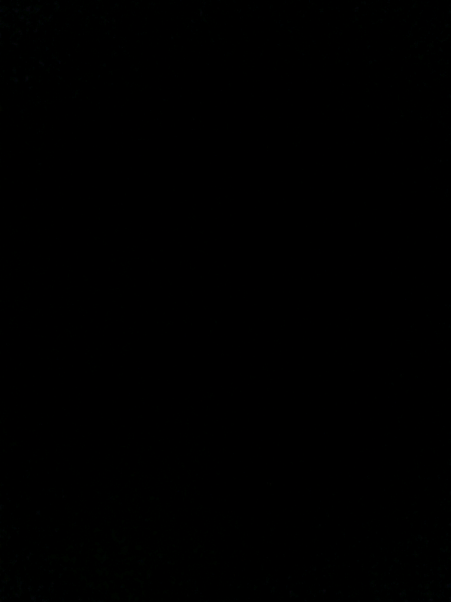 كان يمكان الحب مالي بيتنا . #اغاني_بدون_موسيقى #تصميم_فيديوهات🎶🎤🎬 #تصميمي 