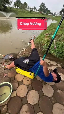 Dẫn khối nghỉ hè đi câu, kết quả cũng ô kê phết! 😜👌 #vietnamfishing #moicaukimlong #moicauca #kiếnthứccâuđài #câucávuivẻ #caucagiaitri #cauca 