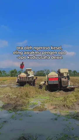 Bocahkoyokoeisoopo#ternosontek🤙 #bimo102ss #gabahbalap🌾 #bmgarage #fypシ゚ 