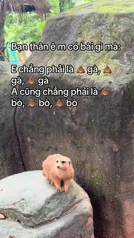 Bài gì mà c:ứ:t quài dậy #GreenCreator #Vinpearl #VinpearlGolf #VinWonders #WonderSummer2025 #dulich 