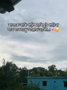 আল্লাহ ভরসা🌸🙂 #fypvairal #foryou #foryoupage #fypvairalシ @#foryou #@TikTok #tushar6433#fypvairalシ 