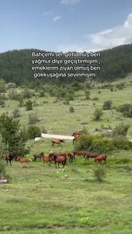 #ankara #fyp 