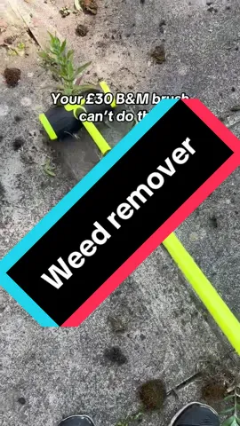 If your garden is a mess like mine then you have to get this weed removing brush! Best garden brush I’ve ever had #gardening #gardeningtools #gardenproject #summersale #tiktokmademebuyit #tiktokfinds #patiocleaning 