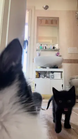Miao