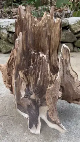 gốc bì đã hoàn thiện. dầu dạng mùi đều đỉnh. ra vòng ok nha.nặng 1kg4.zl.0.822354345.#trầm hương tự nhiên #cảnh trầm hương tự nhiên. 