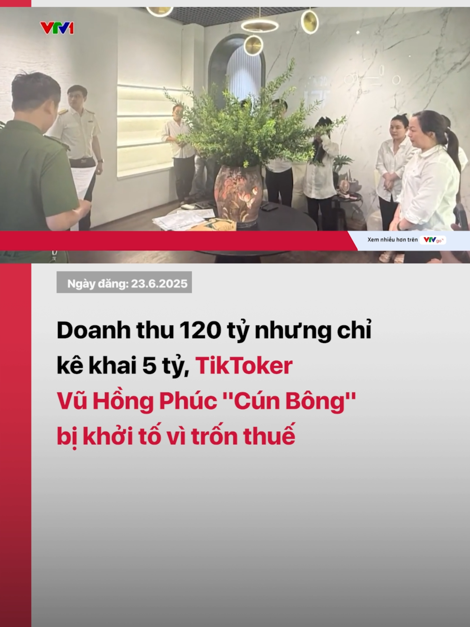 Vũ Nam Phương, TikToker 