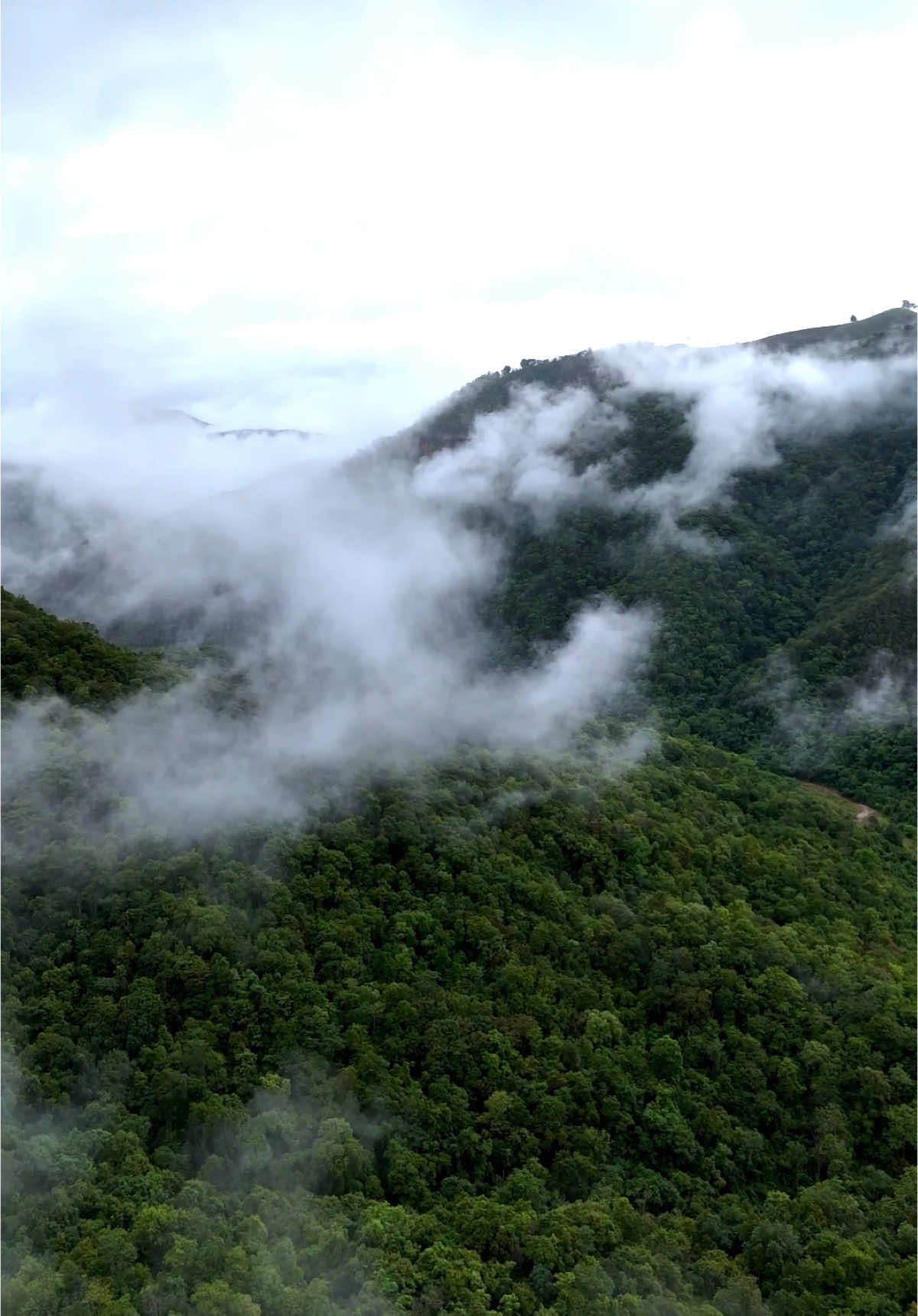 เซฟโซนที่ดีที่สุด คือการได้อยู่กับธรรมชาติ 🍃⛰️🌳 #ธรรมชาติ #วิวธรรมชาติสวยๆ  #การเดินทาง #วิวภูเขาสวยๆ #ฤดูฝน #เที่ยวไปเรื่อย 