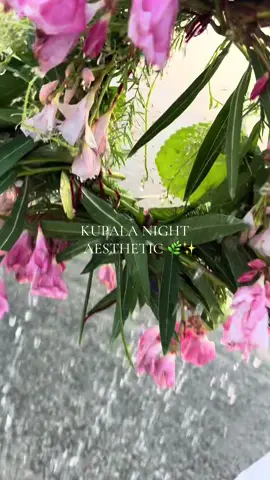 Kupala Night ✨🌿🕯️ #herbalwitch #greenwitch #witchy #magicspells #summersolsticespell #paganwitch #softwitch #witchesoftiktok #pagan #witchcraft #witchtok #witchyvibes #summersolstice #summersolsticecandle #іванакупала #іванакупала🔥 #іванакупала2025 #сонцестояння #літнєсонцестояння #іванакупала🇺🇦 #фотосесіяіванкупала #kupala #nockupały #купальськаніч 