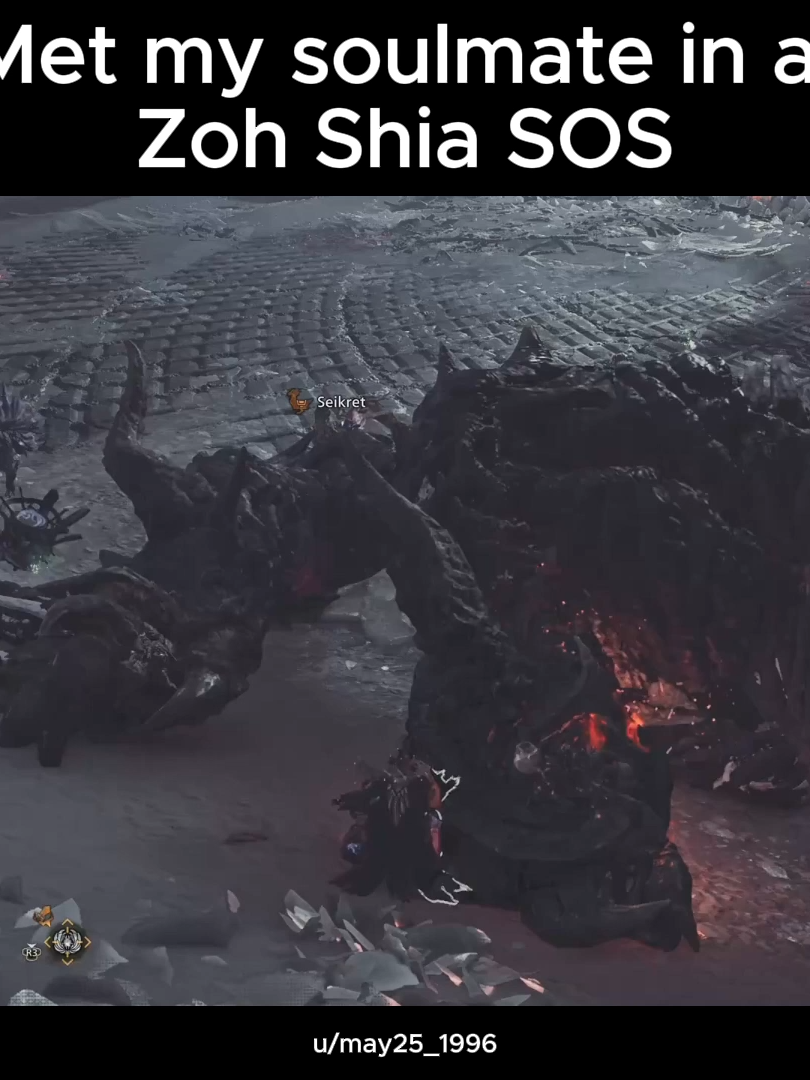 Met my soulmate in a Zoh Shia SOS #MonsterHunter #MonsterHunterWilds #MHWilds