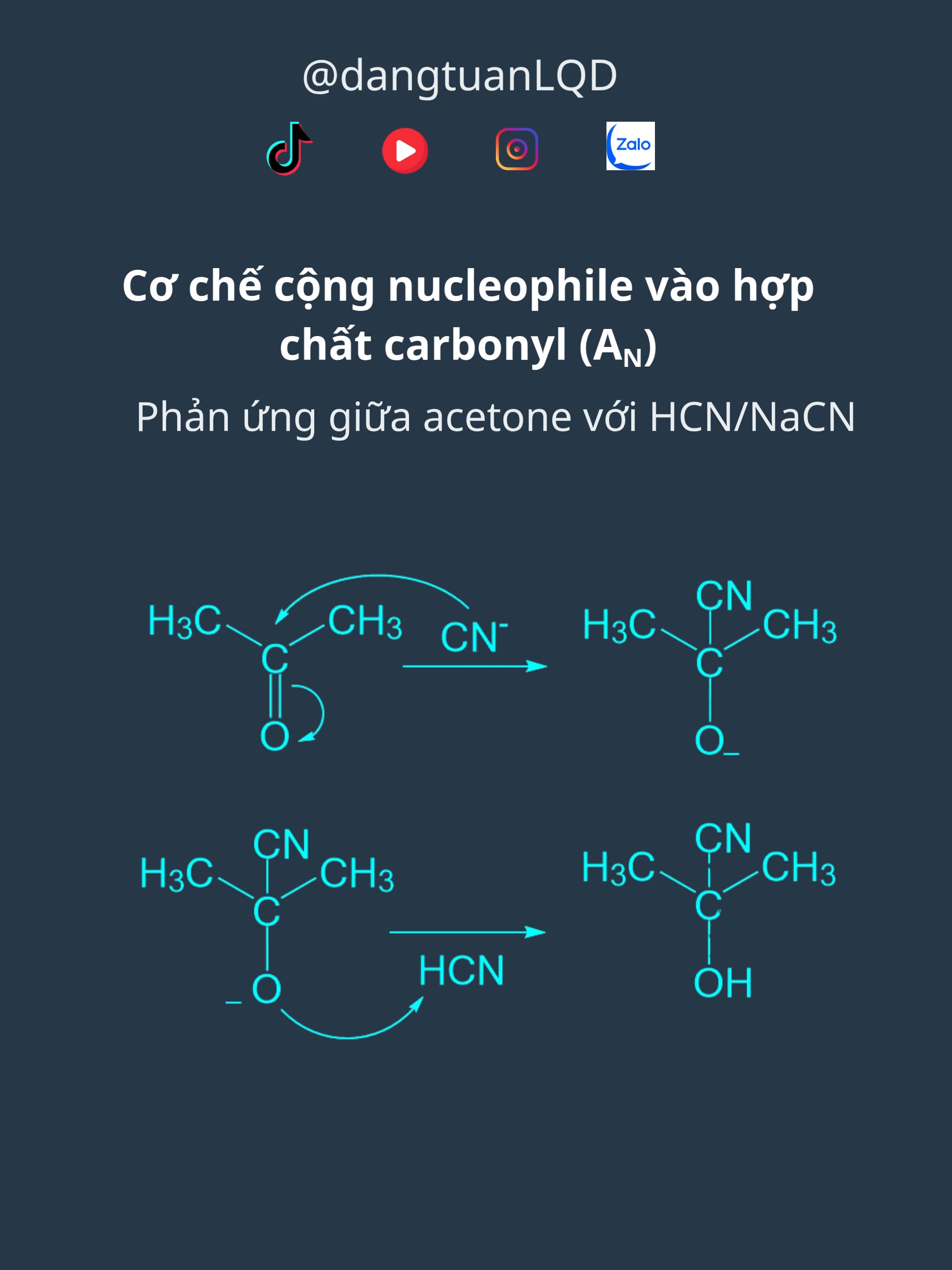 Cơ chế  phản ứng cộng nucleophile #dangtuanlqd #Organic #education #chemistry