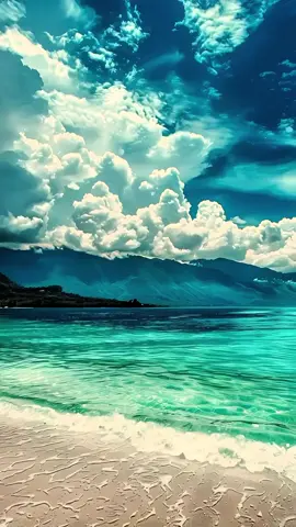 A peaceful tide for your busy mind. #oceanhealing #mauimagic #beachmeditation 🔗 https://linktr.ee/annamauszycki 🎵 AI-generated video using licensed elements 🌿 Need a pause? Let nature guide you. ➤ Watch full calming videos on YouTube: [link in bio] #TranquilTreasurez #NatureVibes #RelaxAndUnwind #PeacefulScroll #SelfCareBreak