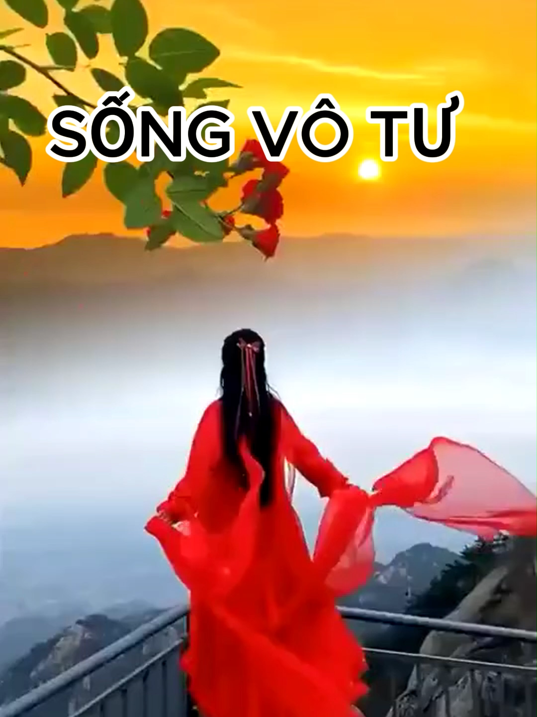 Sống vô tư. #songchamtamtinh #songvotu