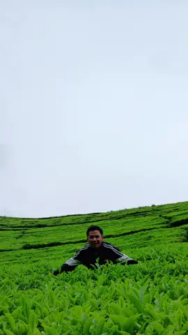 emang udahbener banget kalo udah denger lagu timur...#CapCut #tabolabale #juanreza #jacsonzeran #divaaurel #laguviral2025tiktok #viral #fyp #fypシ #4u 