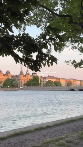You truly are golden my sweet Copenhagen 🌾 #copenhagen #worldsmostliveablecity #københavnerliv #copenhagenstyle 