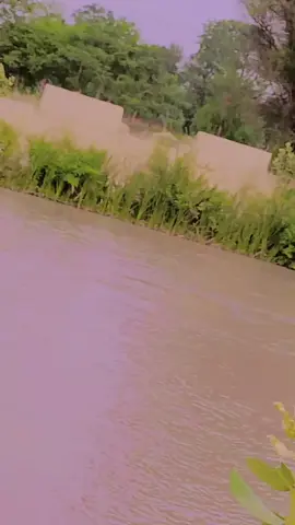 #🥰🥰🥰🥰🥰🥰 #CapCut @