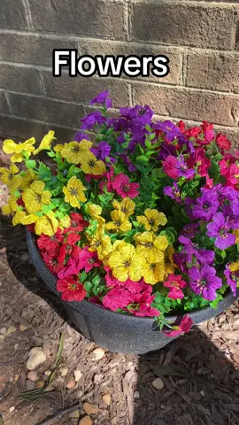 #flower 