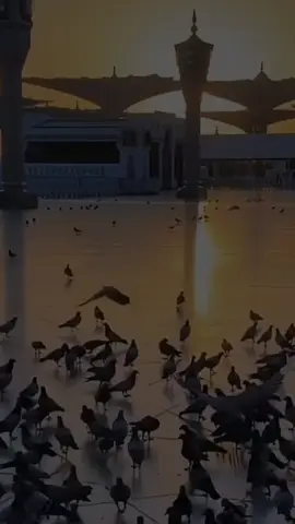 دعاء سنة الهجرية الجديد 1447🕊️#دعاء_يوم_الخميس #القران_الكريم_اكسبلوور 