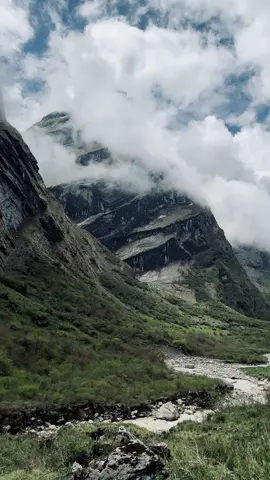 Nepal 🇳🇵ANNAPURNA BASE CAMP TREK✅ MONSOON SEASON 👌#trekkinginnepal #trekking #trek #trekker #mountain #explore #nepal #fyp #foryou #foryoupage #himalaya #himalayan #tiktok #viral #viralvideo #kulung #kulung_the_himalaya #LuX #annapurnabasecamp #annapurna #creatorsearchinsights #abc #abctrek 