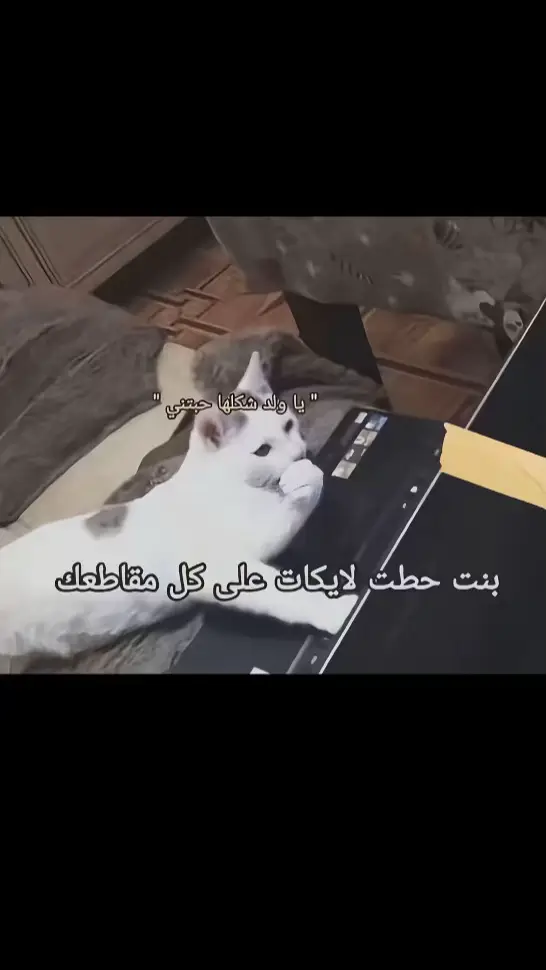 #اكسبلور؟ 