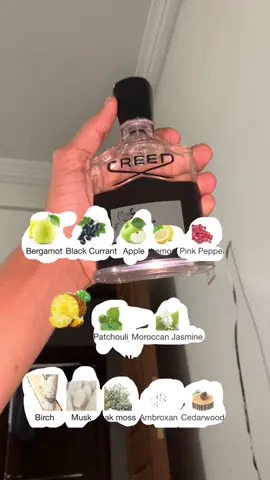 Creed aventus