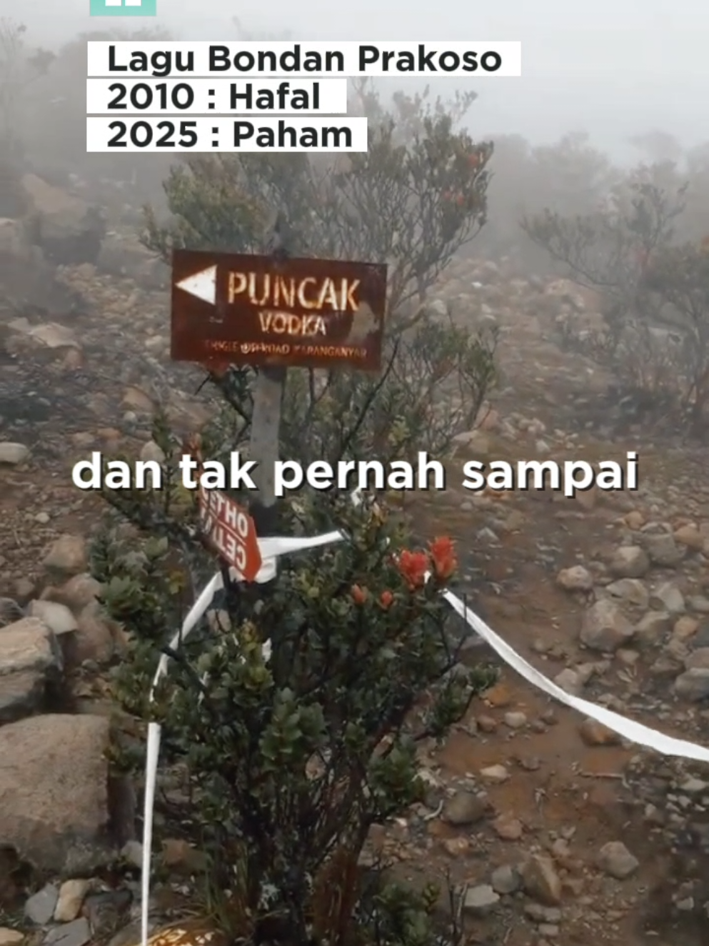 pasar dieng gunung lawu, dilarang menghalu kwkw #CapCut #lawu #gunung #mountain #view #beranda #pendakian 