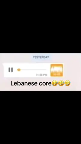 #الشعب_الصيني_ماله_حل😂😂 #fyp #foryoupage #viral #lebanon #lebanese #lebanesecore #🇱🇧 #funny #lebanesecomedy #egypt #syria #series #lebaneseseries