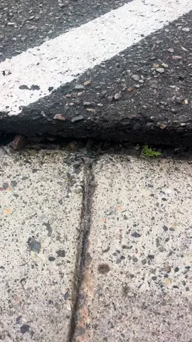 It pushed the street up from all the water rushing.