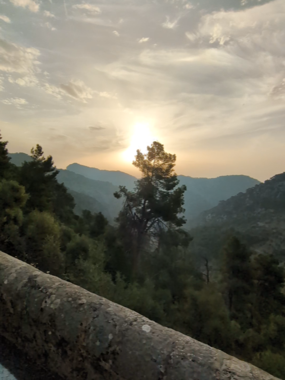 that morning sun on empty roads. #roadbike #mallorca #cycletok #2025 #cycling #cycle #cyclezone #biketok #cyclingtok #cyclingtiktok #cyclinglife #cycletalk #merida #reacto #cycleohcycle #sunrise 