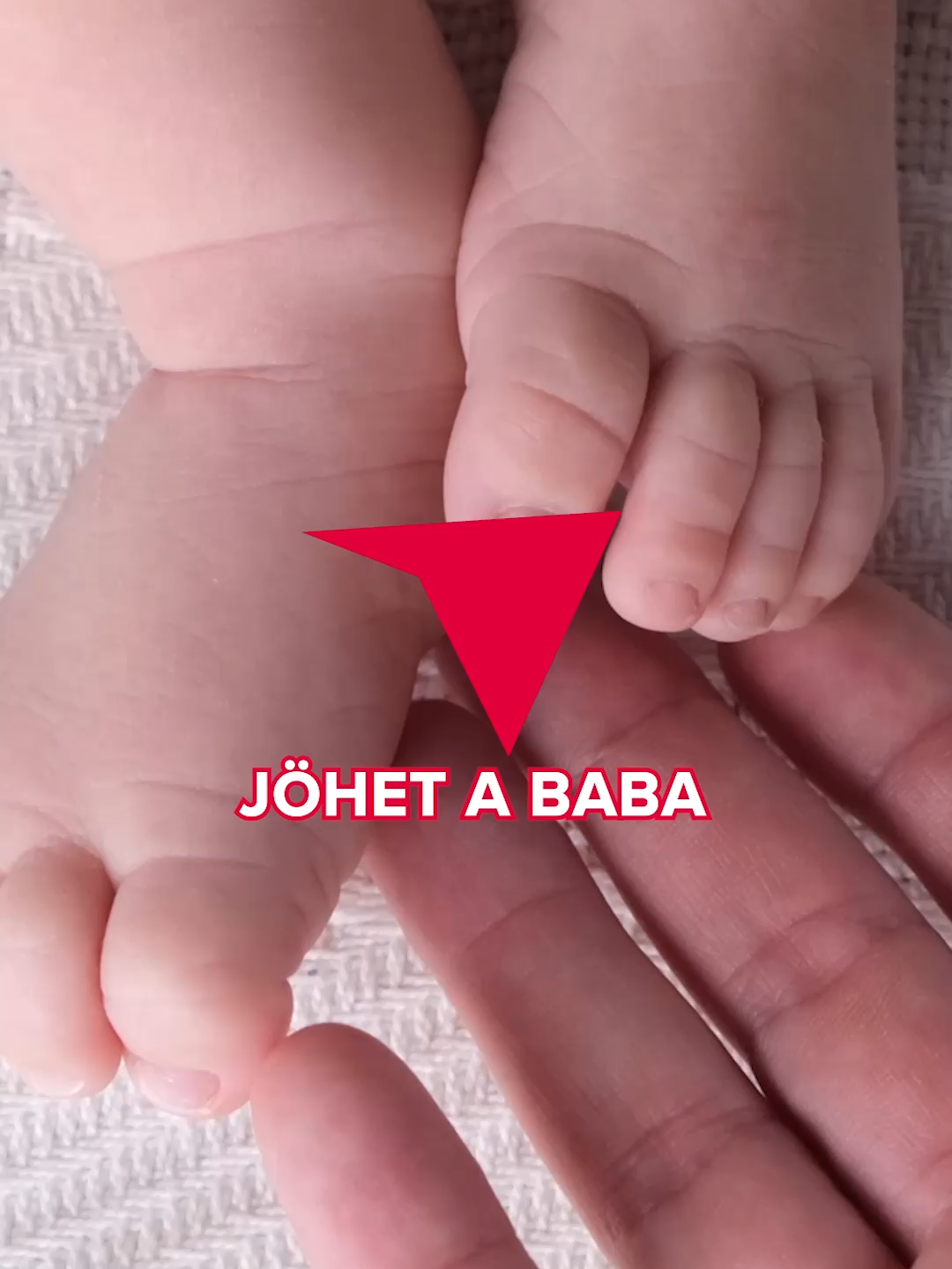 Jön a baba Schóbert Laráéknál?   A jósnő szerint minden esély meg van rá Schobert Norbi lánya nemrég szakított, de máris újra szerelmes. Választottja egy nála 12 évvel idősebb, igen tehetős, jóképű üzletember.   #bors #schóbertlara #szerelem #celeb #rubintréka #jósnő# lénártévi