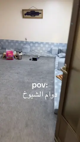 #مساء_الخير #الكويت🇰🇼 #الشعب_الصيني_ماله_حل😂😂 