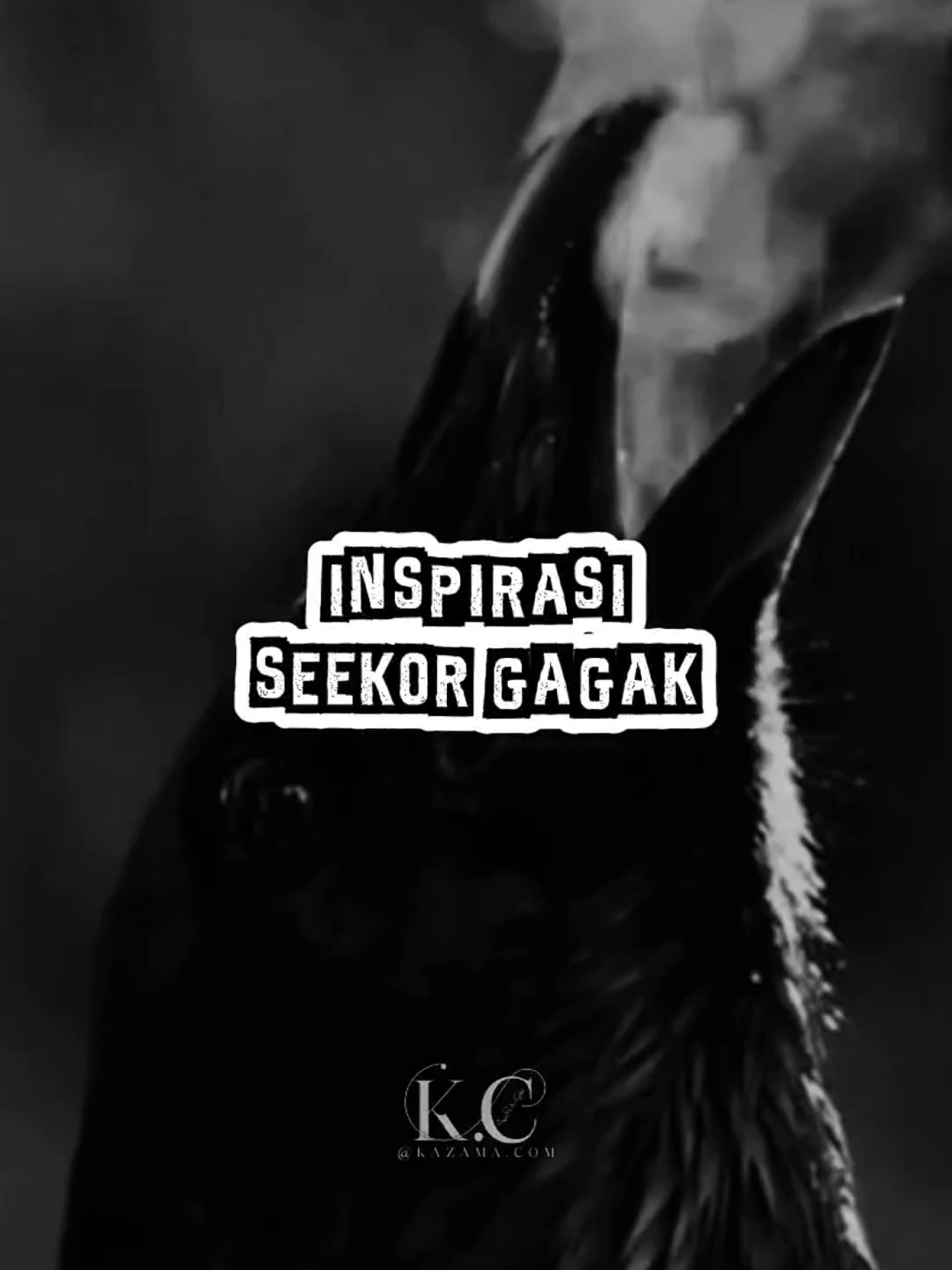 jadilah seperti burung gagak, tidak bersinar tapi ditakuti, tidak berkilau tapi di segani. #foryoupage #motivational #motivationalquotes #motivasi #inspiration #gagak #motivationalspeech #quotes 