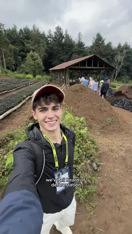 TIME TO RE-FOREST! 🌎❤️ WITH TED COUNTDOWN! 