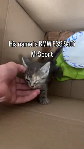 He’s named after the car ##bmw #bmwclassic #bmwm #bmwe39 