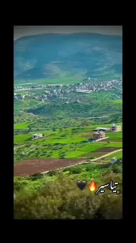 #تياسير❤️ #تياسير_حلوة_يا_بلدي #اكسبلورexplore #tiktok #fyp #foryoupage 
