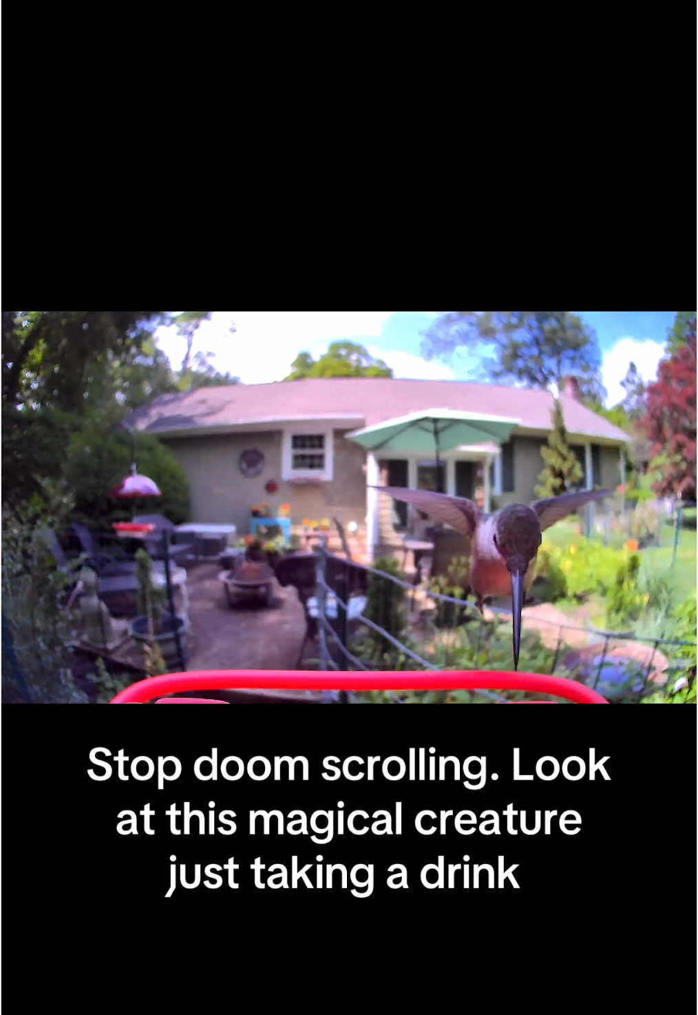 #greenscreenvideo 
