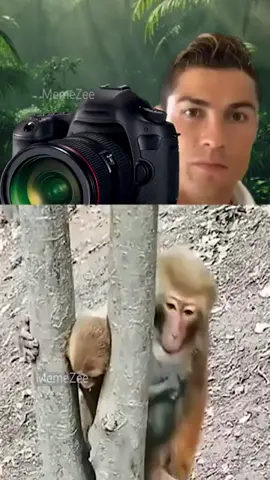 here's a meme I found that I thought was pretty goofy. source: MemeZee (from yt) #meme #memes #fyp #fypage #monkey #monkeysoftiktok 