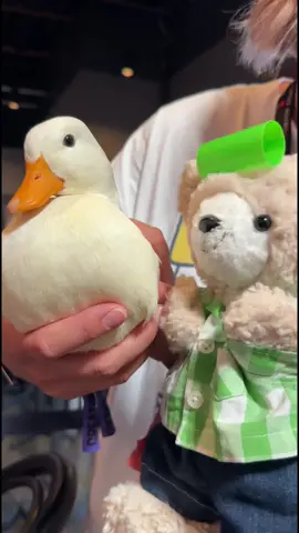 Yoshi just met Pupu @Pupu / ププ🧸🌈 #fyp #cute 