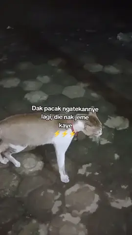 #storygalau #sadstory #sadvibes🥀 #sadsong #foryou #muaraenim #muaraenim_palembang #muaraenimsumateraselatan #palembangtiktok #sumseltiktok #lahat #semende #lahat #pagaralam #tanjungenim #fyp #viralvideo #viral #viraltiktok 