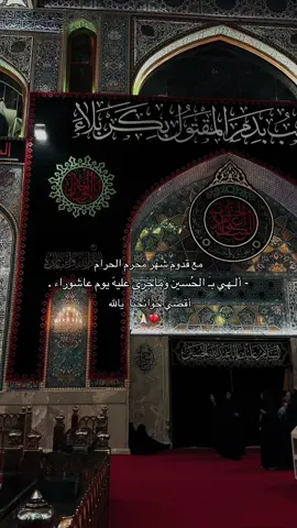 اللهي بالحسين،!💔#العتبه_الحسينيه_المقدسة #dancewithPUBGM #foryou #tiktok #اكسبلور #محرم 