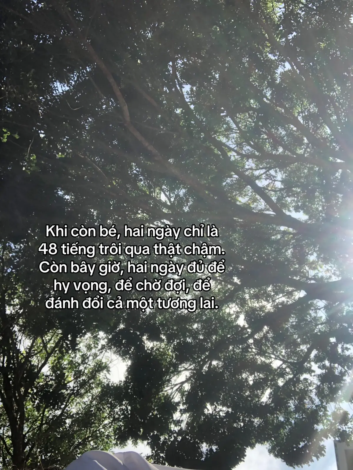 2 ngày nữa thôi là chúng ta về đích rùi, k có cơ hội làm lại nên là phải làm thật tốt nhé 💪🔥#thinhhanh #hoctap📚 #tnthpt2025 